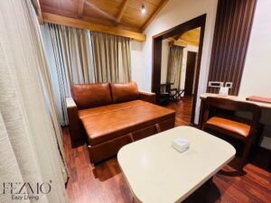 Bed Cum Sofa Manufacturer from Chennai